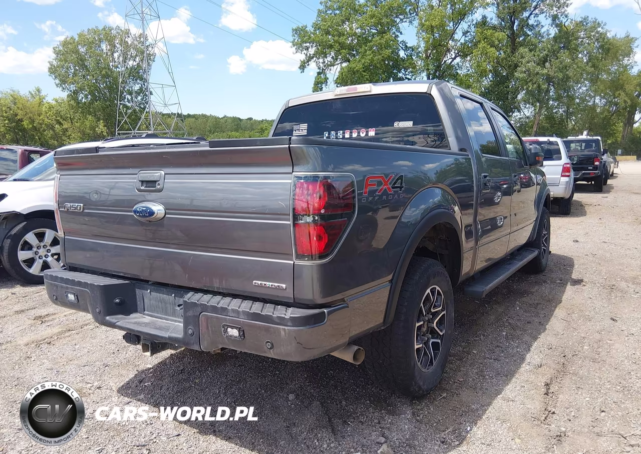 2013 Ford F-150 Fx4 VIN:1FTFW1EFXDFA42111 - 4