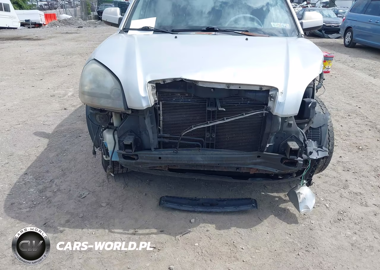 2005 Hyundai Tucson Gls-Lx VIN:KM8JN12D15U117755 - 6