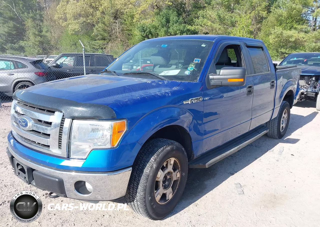 2011 Ford F-150 Xlt VIN:1FTFW1EF3BKD23820 - 2