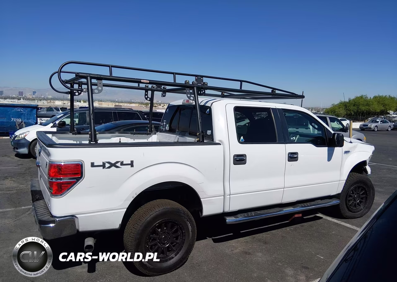 2013 Ford F-150 Xlt VIN:1FTFW1EF1DKG44404 - 13
