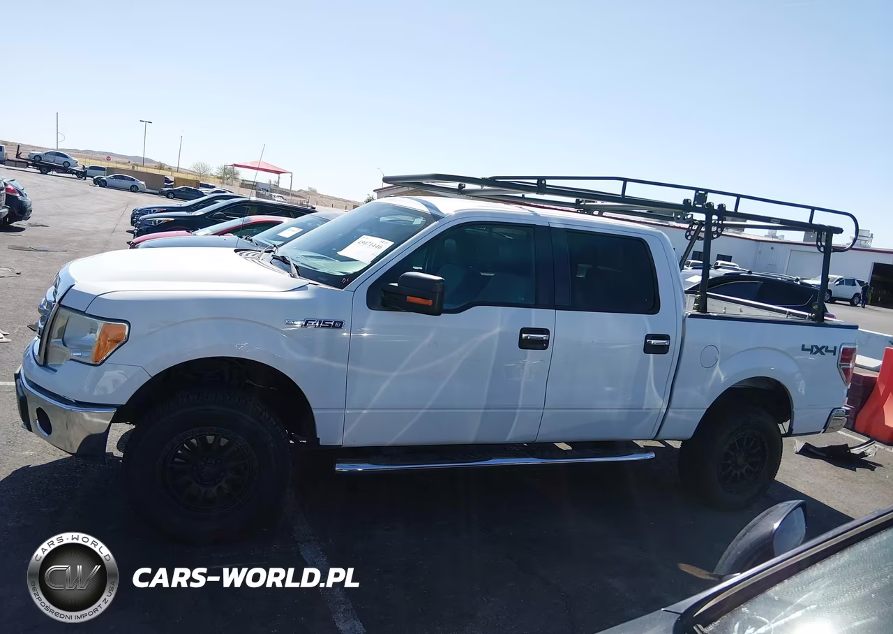 2013 Ford F-150 Xlt VIN:1FTFW1EF1DKG44404 - 14