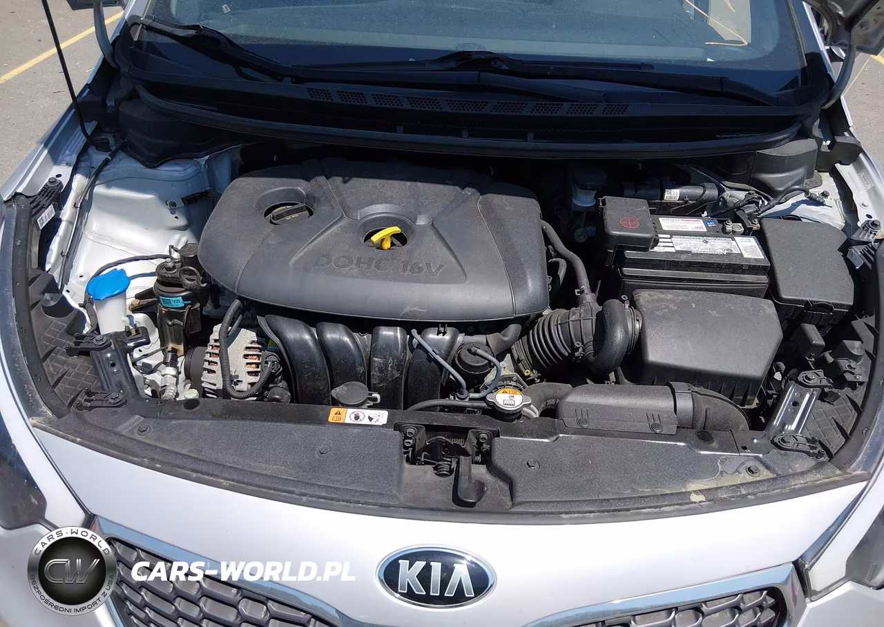 2016 Kia Forte Lx VIN:KNAFK4A60G5525648 - 10