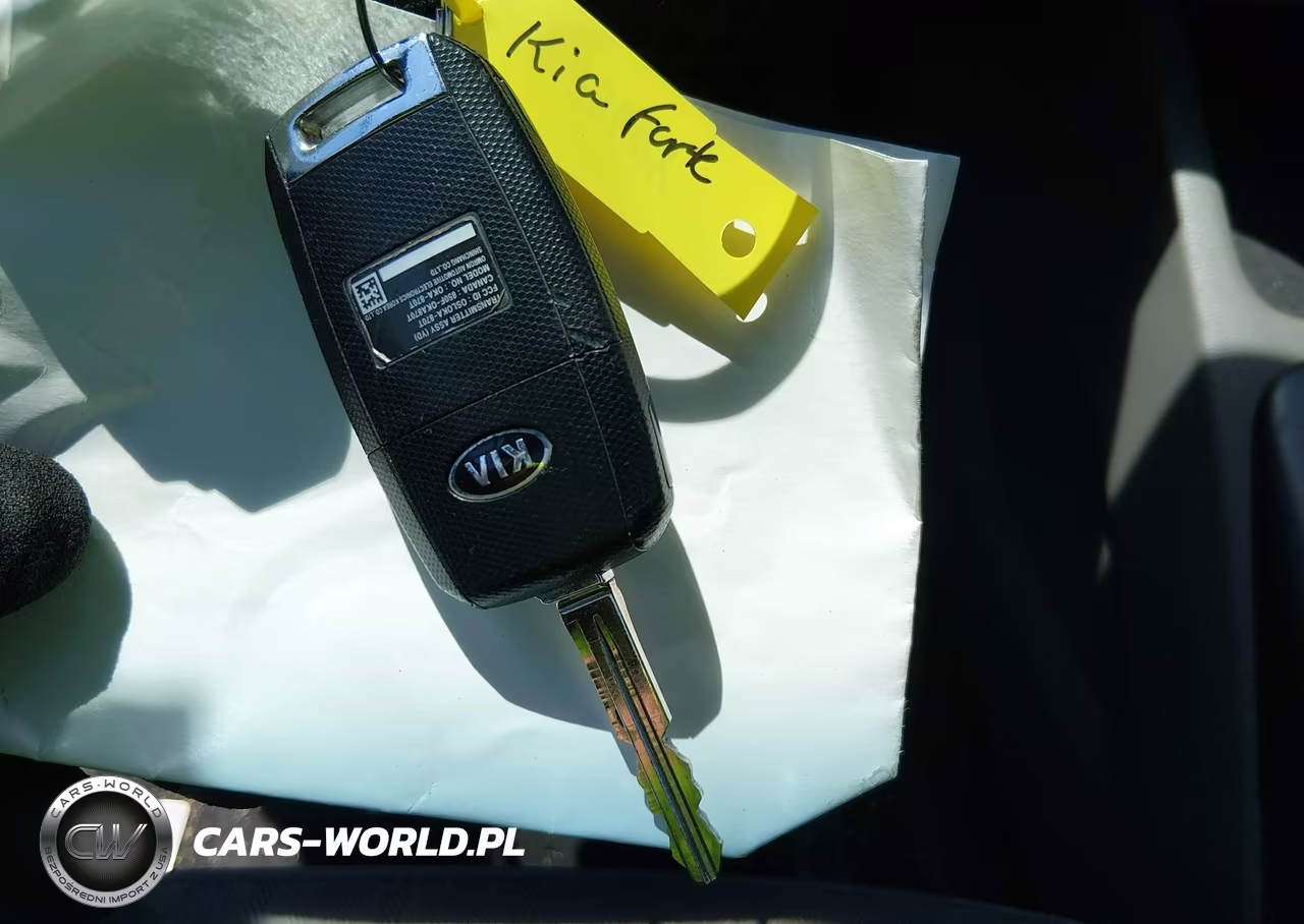 2016 Kia Forte Lx VIN:KNAFK4A60G5525648 - 11