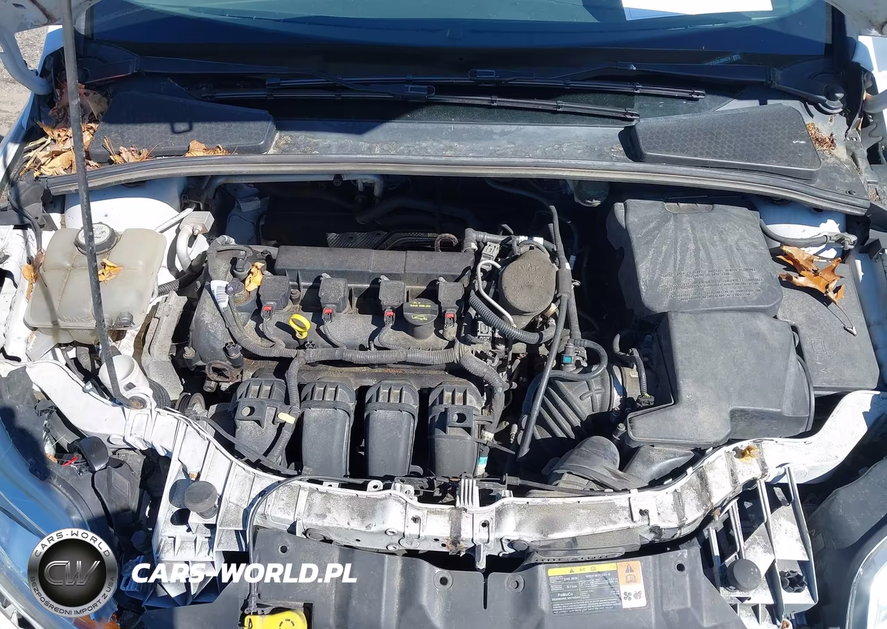 2013 Ford Focus Se VIN:1FADP3F2XDL304874 - 10