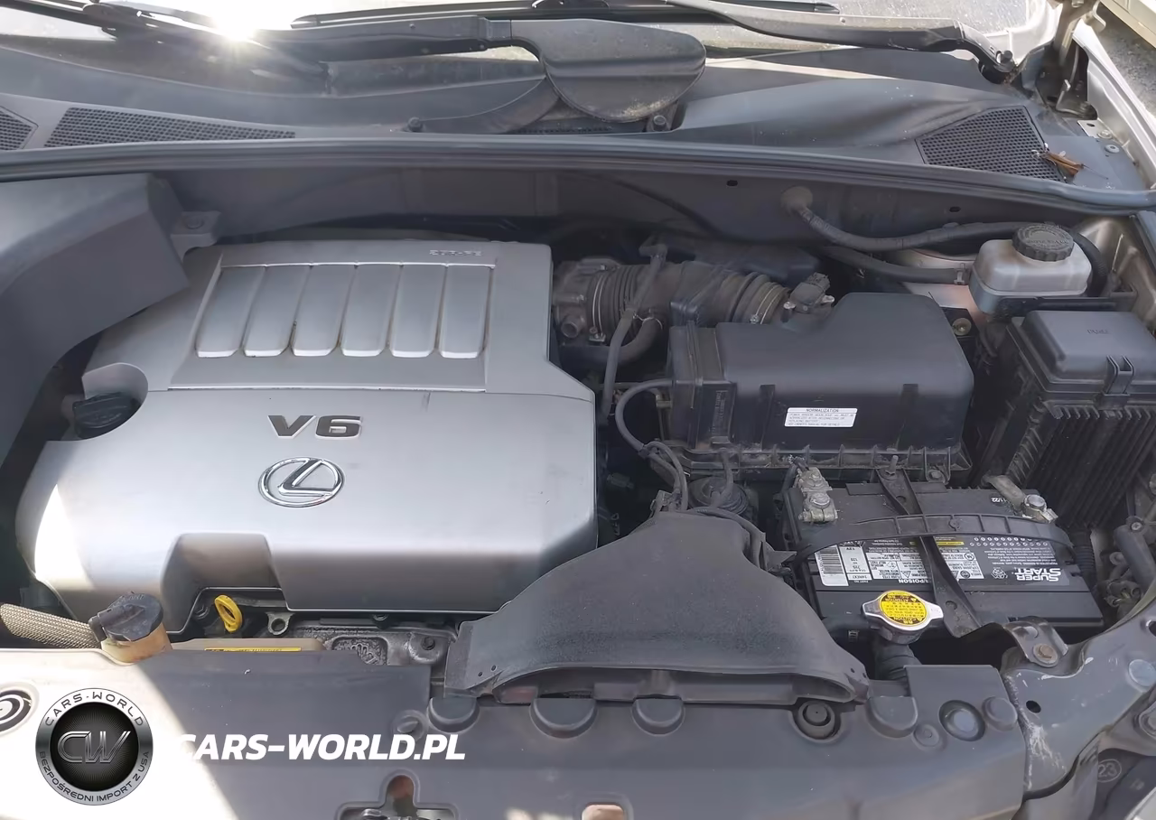 2010 Lexus Hs 250H Premium VIN:JTHBB1BA7A2003805 - 10