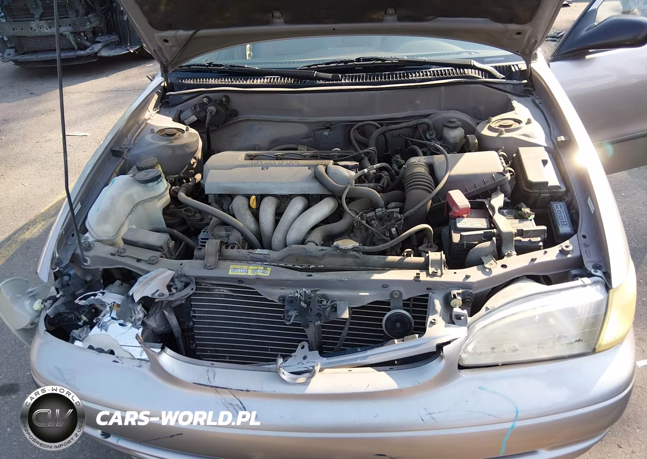 1999 Toyota Corolla Ve VIN:1NXBR12E9XZ202430 - 10