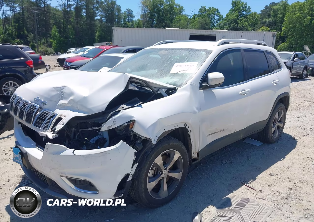 2019 Jeep Cherokee Limited 4X4 VIN:1C4PJMDXXKD442841 - 2
