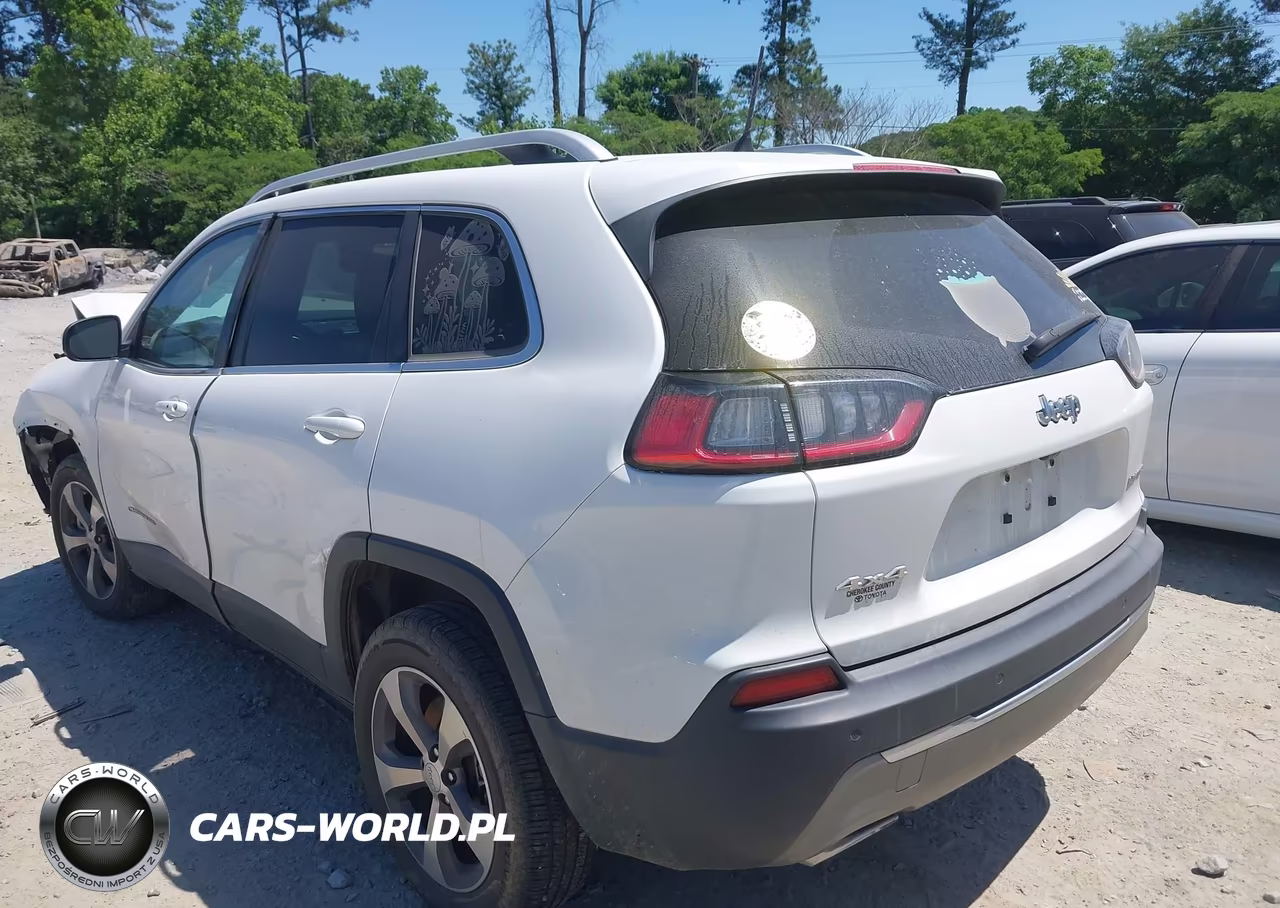 2019 Jeep Cherokee Limited 4X4 VIN:1C4PJMDXXKD442841 - 3