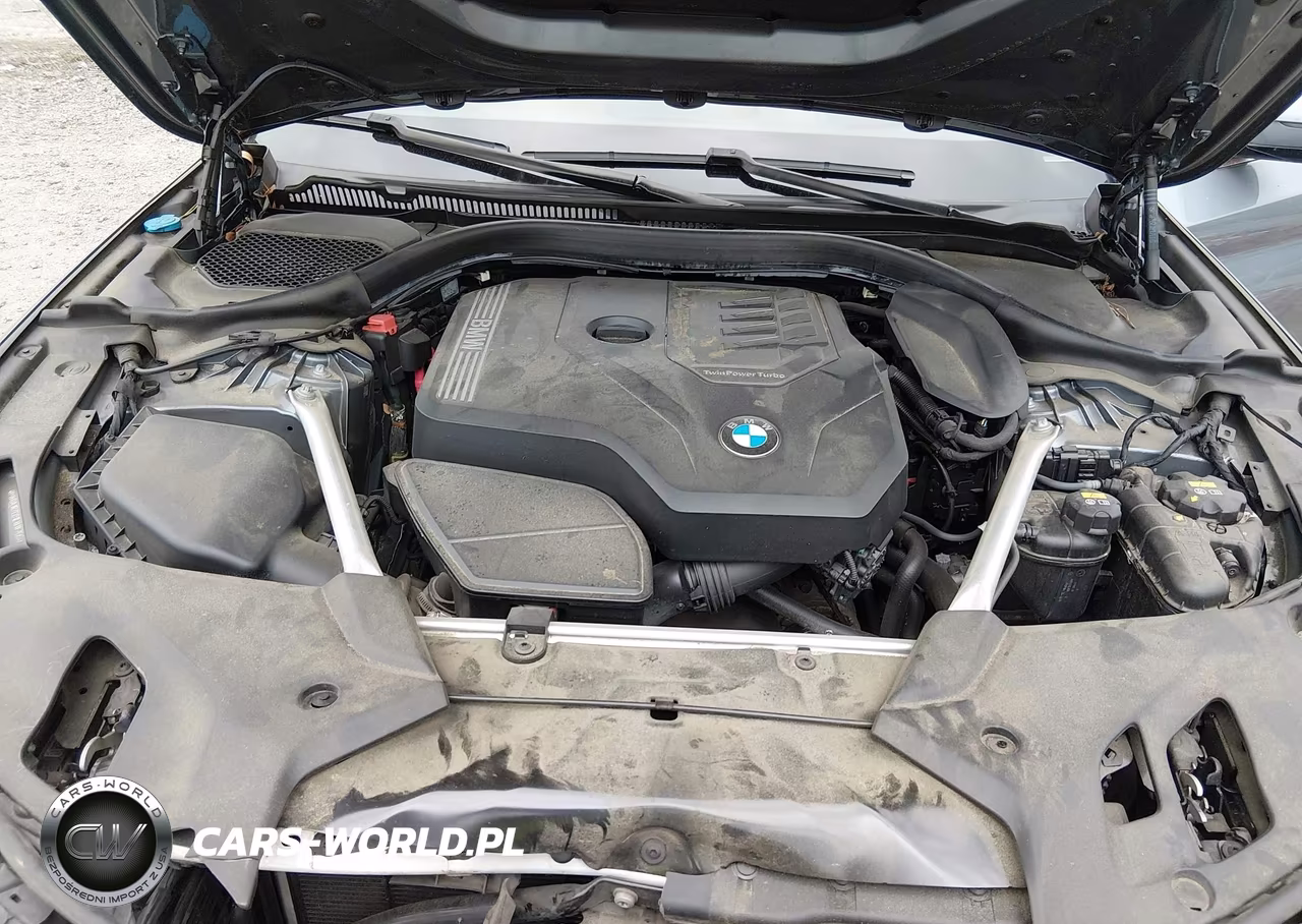 2020 BMW 530I xDrive VIN:WBAJR7C01LWW70640 - 10