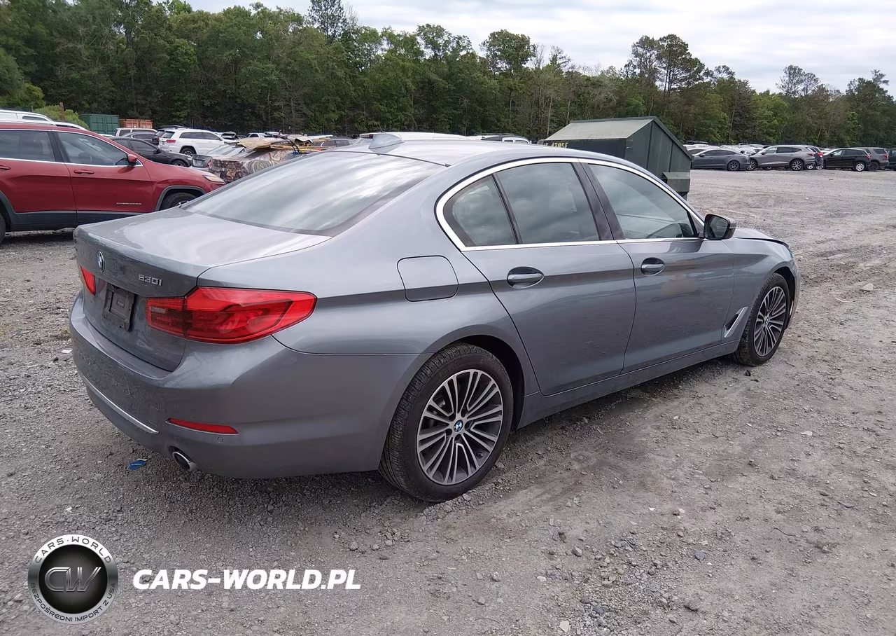 2020 BMW 530I xDrive VIN:WBAJR7C01LWW70640 - 4