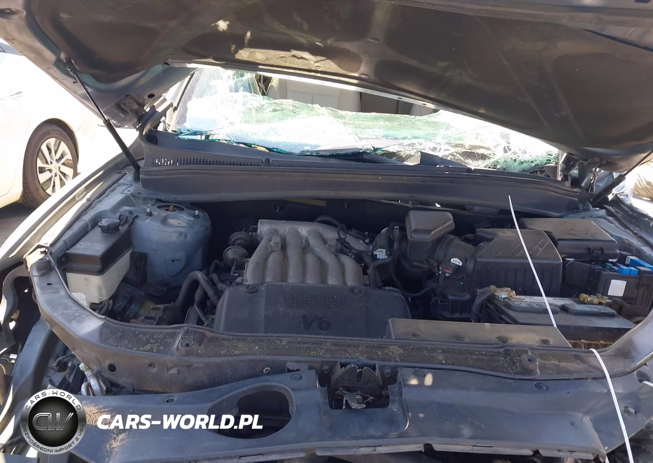 2009 Hyundai Santa Fe Gls VIN:5NMSG13D99H247863 - 10