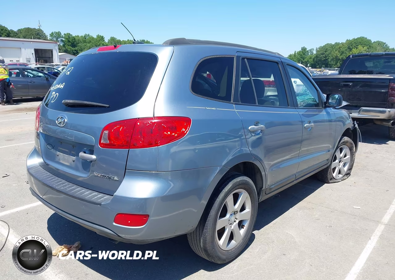 2009 Hyundai Santa Fe Gls VIN:5NMSG13D99H247863 - 4