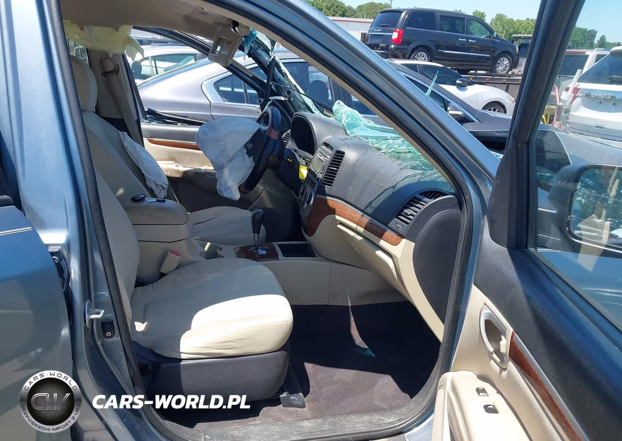 2009 Hyundai Santa Fe Gls VIN:5NMSG13D99H247863 - 5