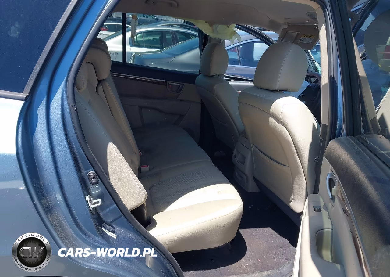 2009 Hyundai Santa Fe Gls VIN:5NMSG13D99H247863 - 8