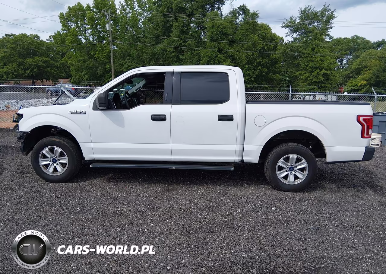 2015 Ford F-150 Xlt VIN:1FTEW1CF0FFA58447 - 15