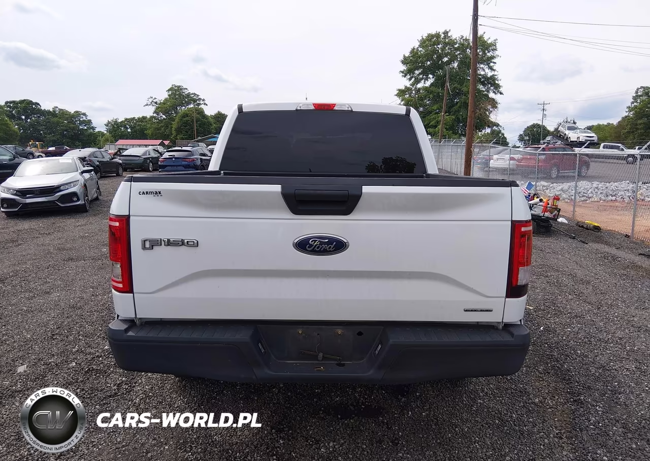2015 Ford F-150 Xlt VIN:1FTEW1CF0FFA58447 - 17