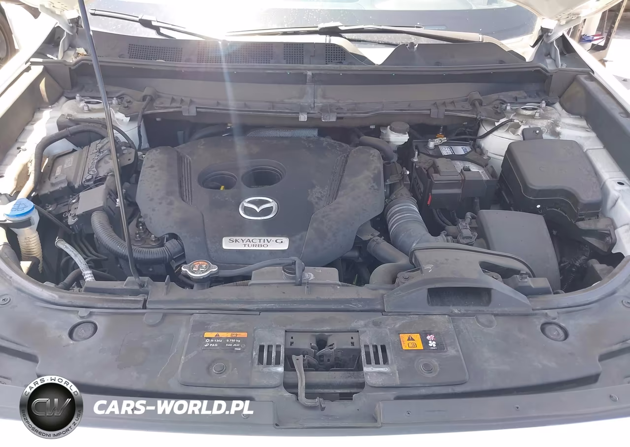 2021 Mazda Cx-9 Grand Touring VIN:JM3TCBDY5M0540697 - 10