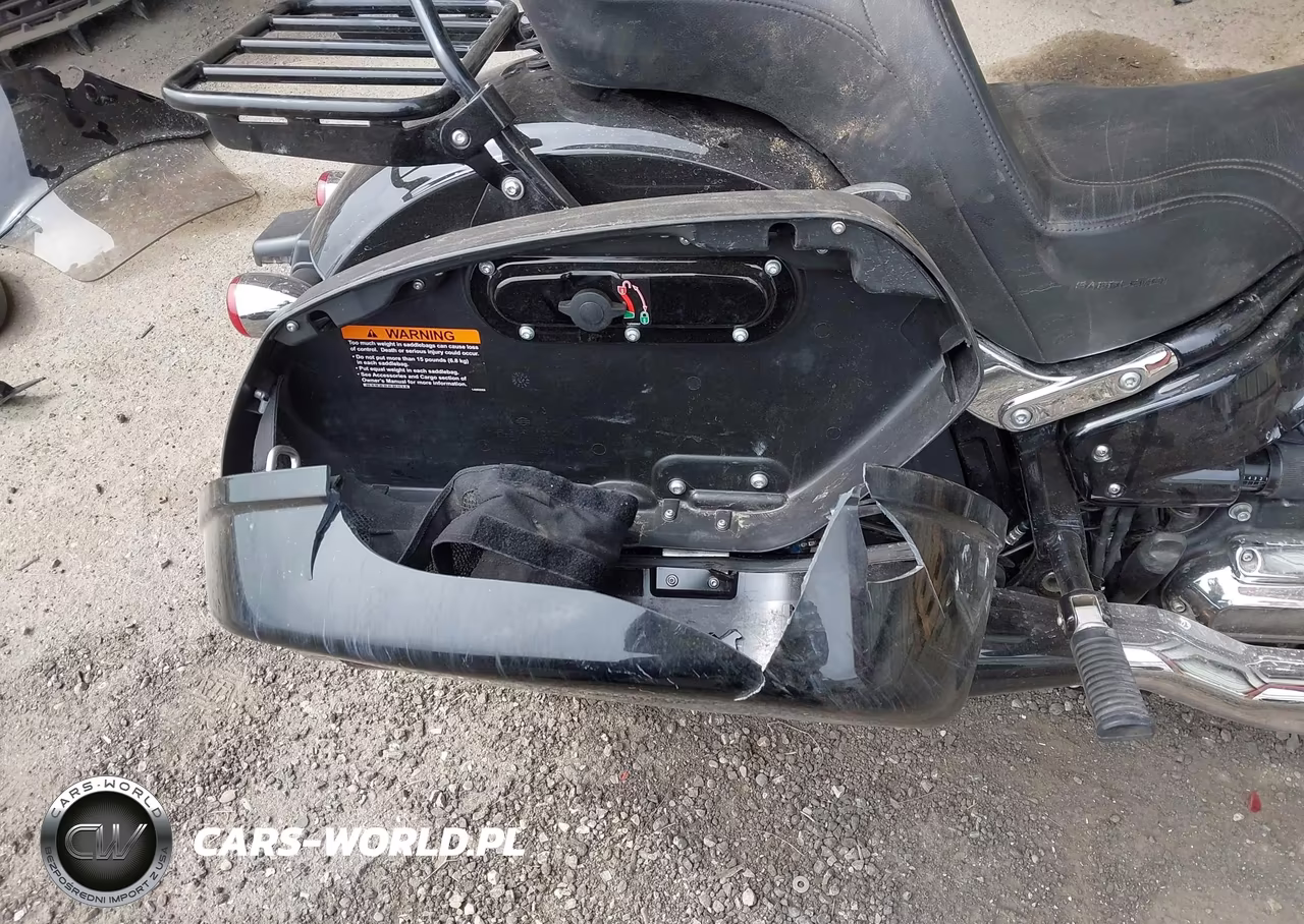 2021 Harley-Davidson Flsb VIN:1HD1YMJ15MB064328 - 16