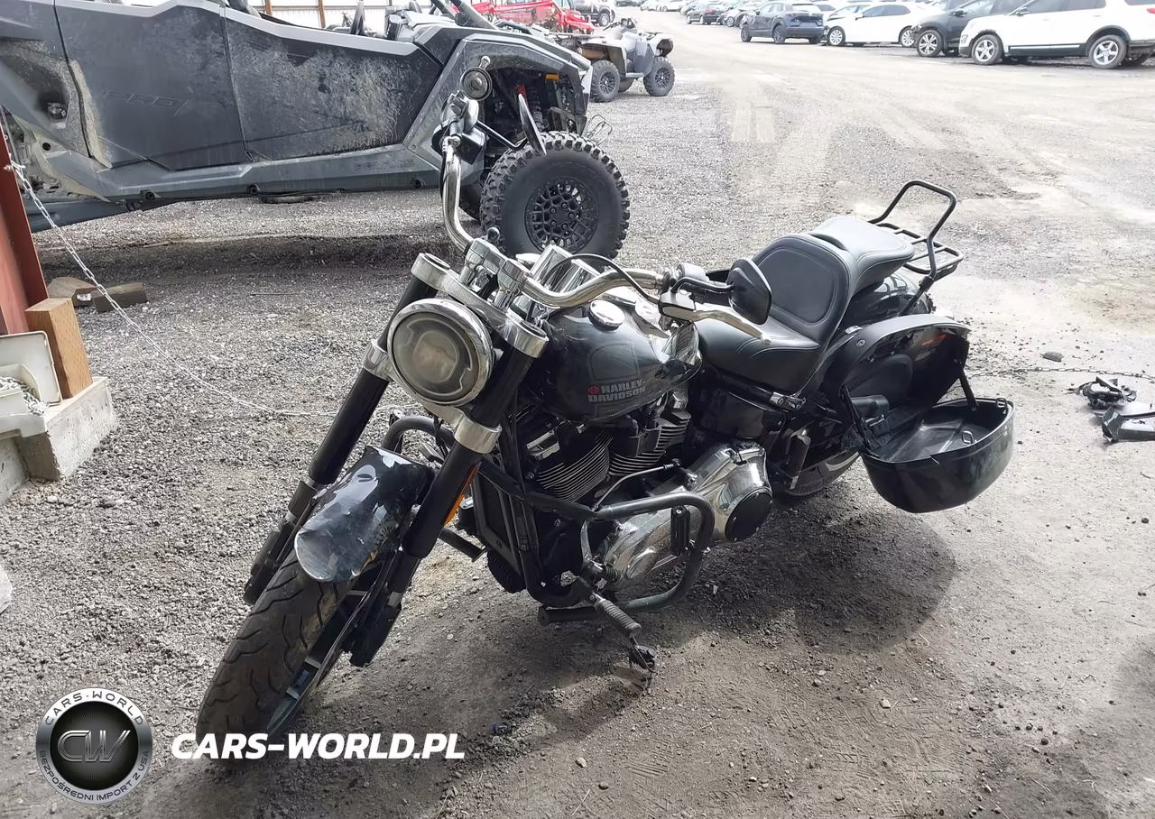 2021 Harley-Davidson Flsb VIN:1HD1YMJ15MB064328 - 2