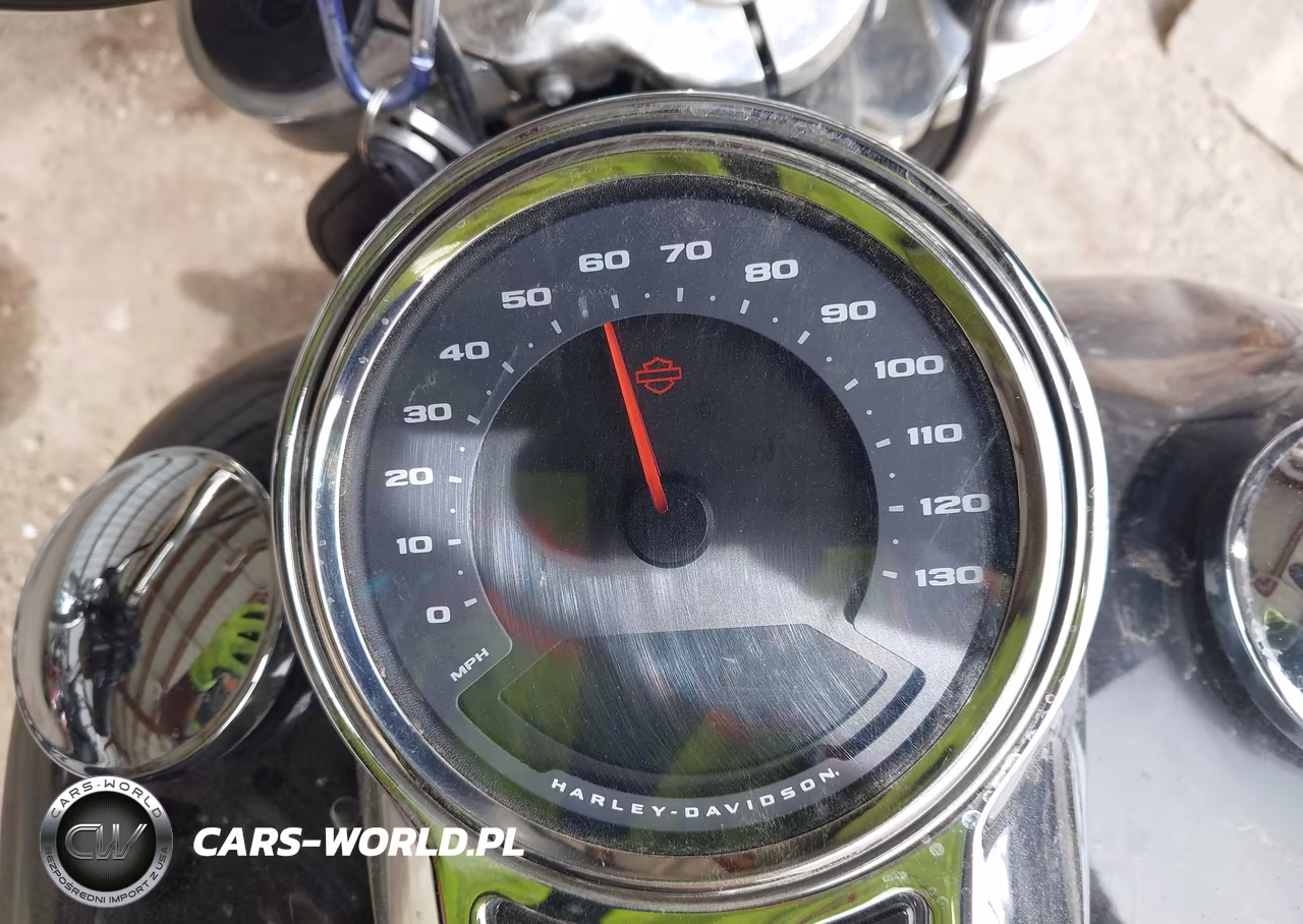 2021 Harley-Davidson Flsb VIN:1HD1YMJ15MB064328 - 7