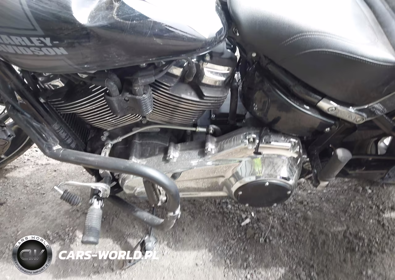 2021 Harley-Davidson Flsb VIN:1HD1YMJ15MB064328 - 9