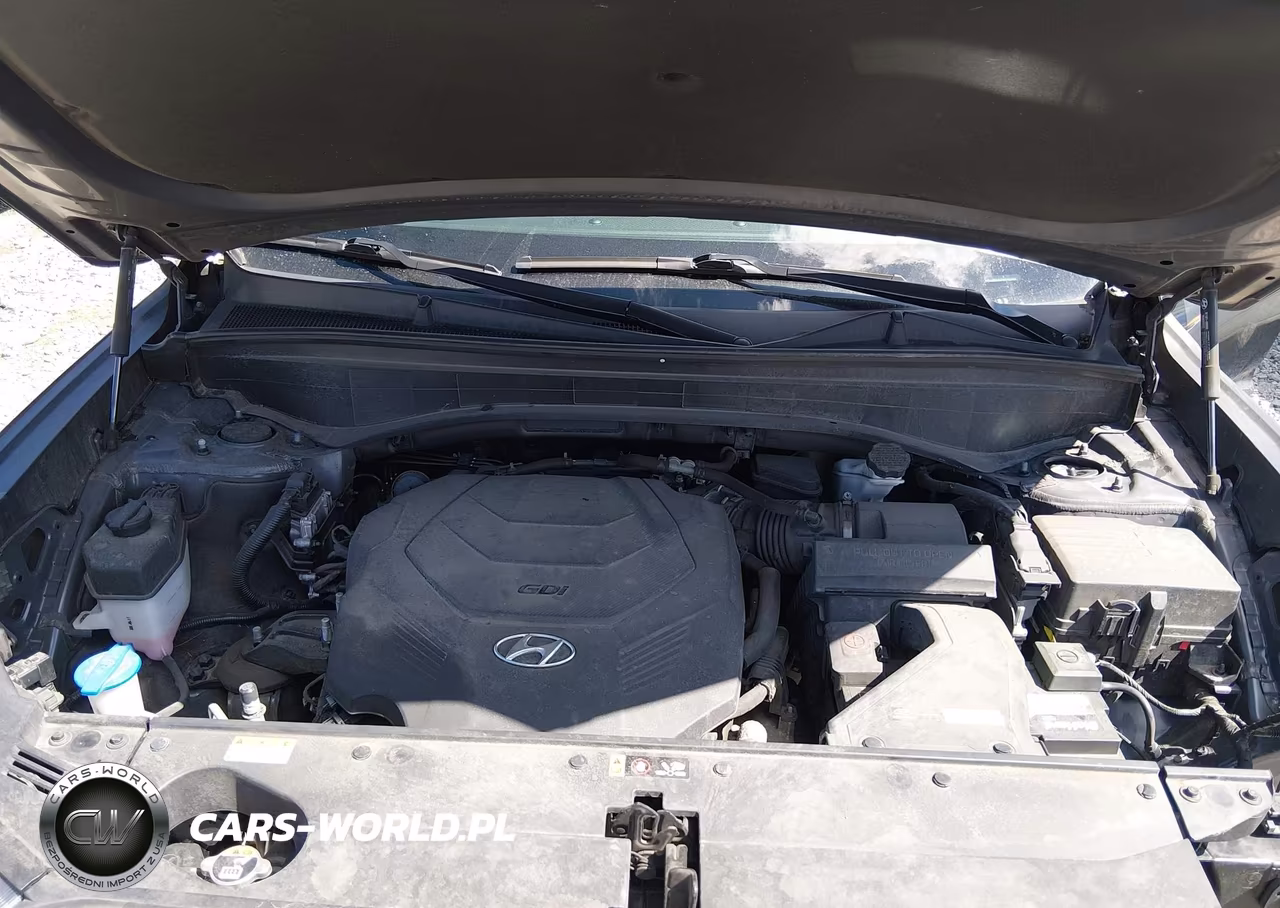 2021 Hyundai Palisade Sel VIN:KM8R4DHE0MU264199 - 10