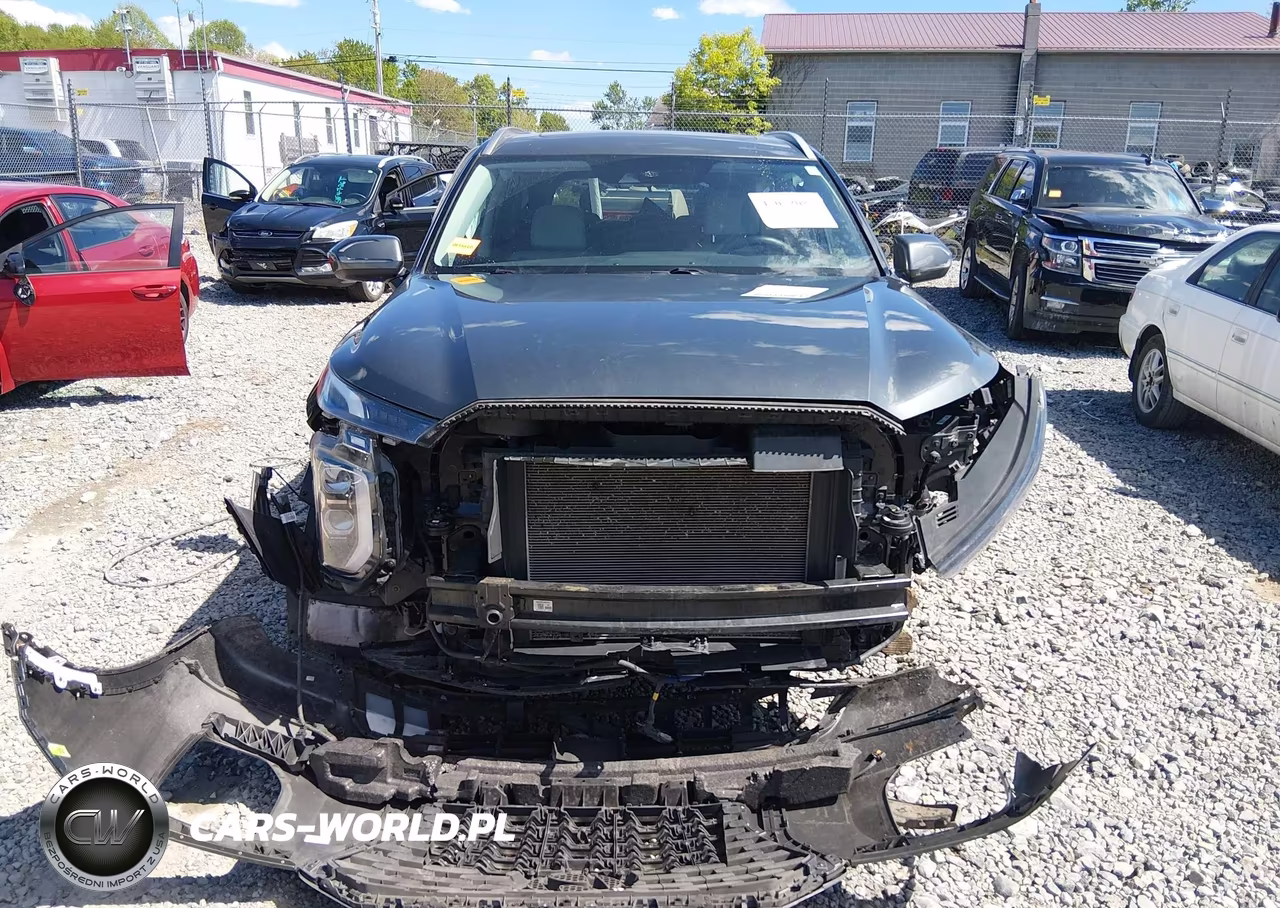 2021 Hyundai Palisade Sel VIN:KM8R4DHE0MU264199 - 12