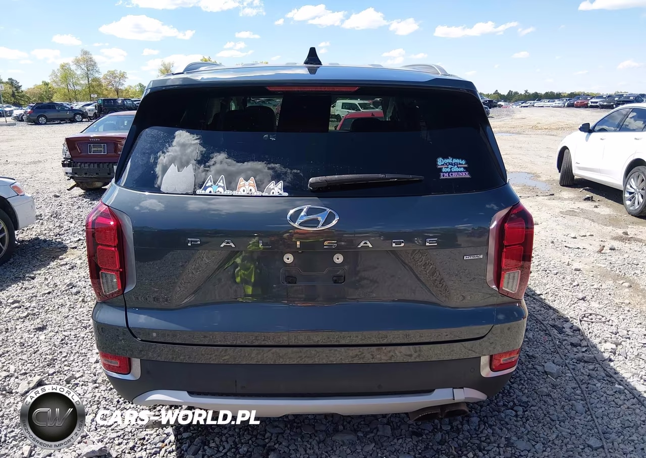 2021 Hyundai Palisade Sel VIN:KM8R4DHE0MU264199 - 16