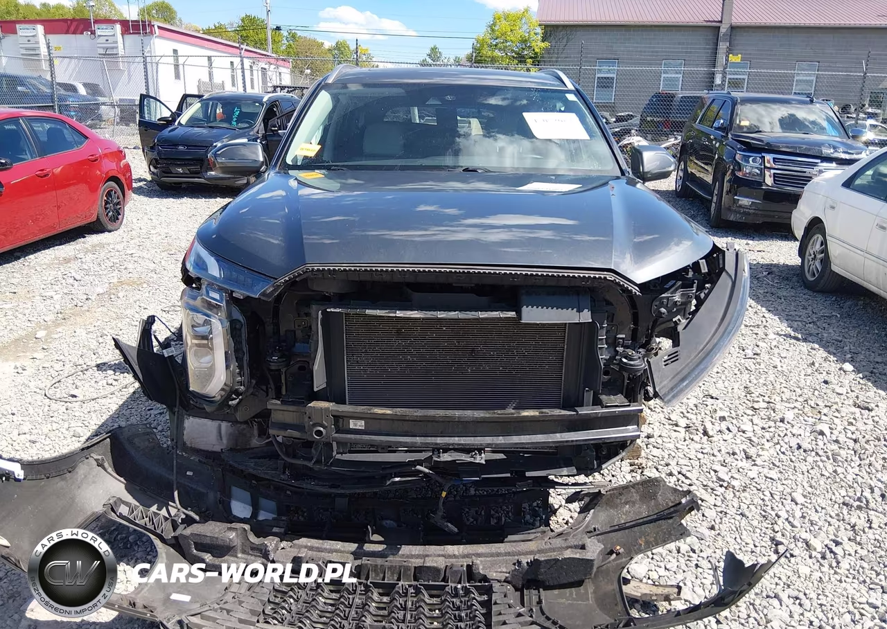 2021 Hyundai Palisade Sel VIN:KM8R4DHE0MU264199 - 6