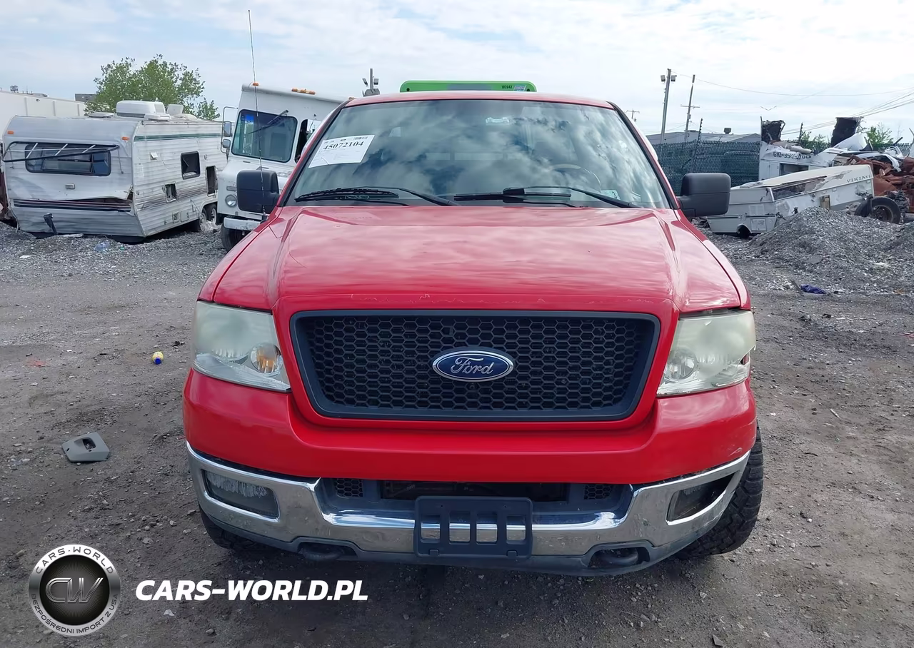 2004 Ford F-150 Fx4-Lariat-Xl-Xlt VIN:1FTPX14534NC60519 - 6