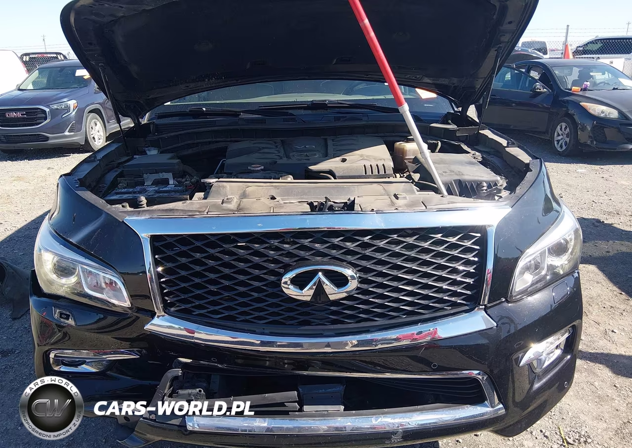 2017 Infiniti Qx80 VIN:JN8AZ2NE1H9160491 - 10