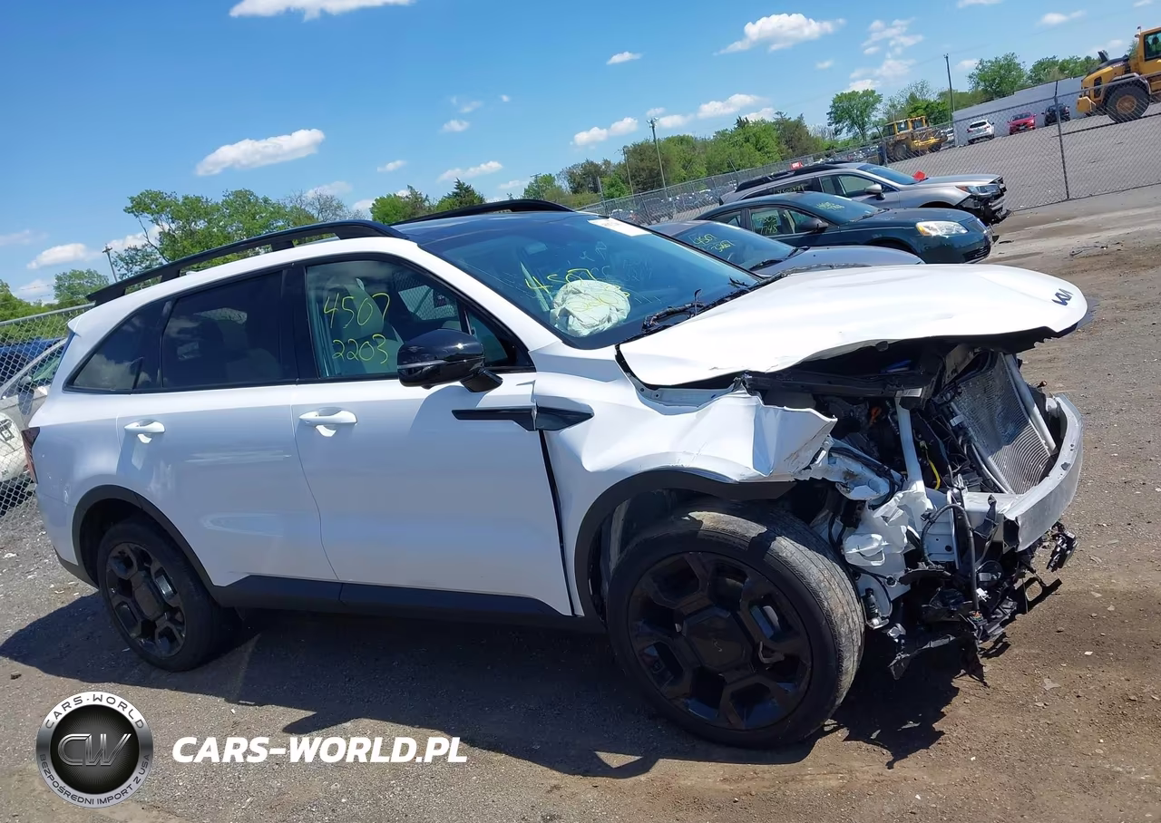 2025 Kia Sorento X-Line Sx VIN:5XYRKDJF5SG356405 - 14