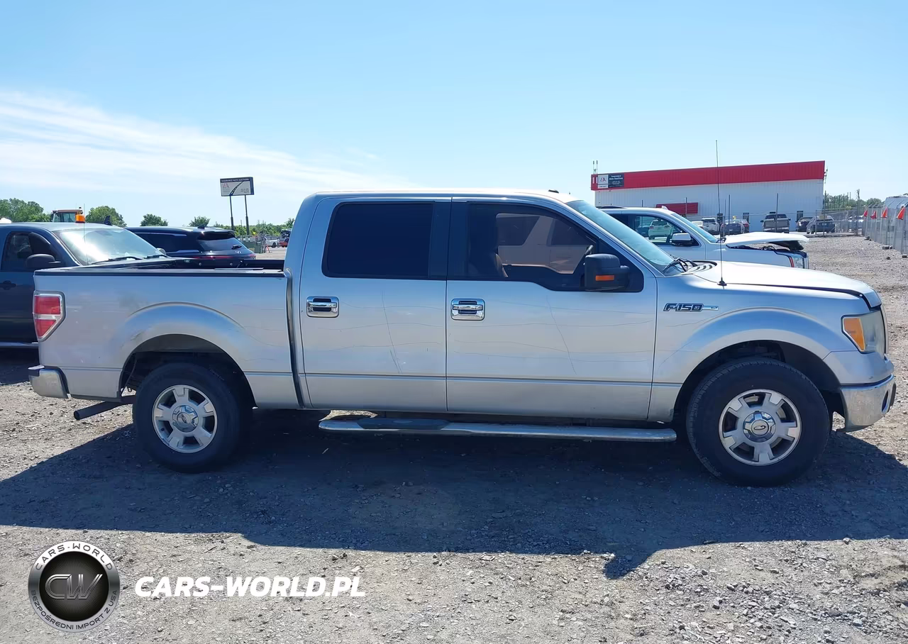 2010 Ford F-150 Fx2 Sport-Harley-Davidson-King Ranch-Lariat-Platinum-Xl-Xlt VIN:1FTFW1CV1AFD94340 - 13
