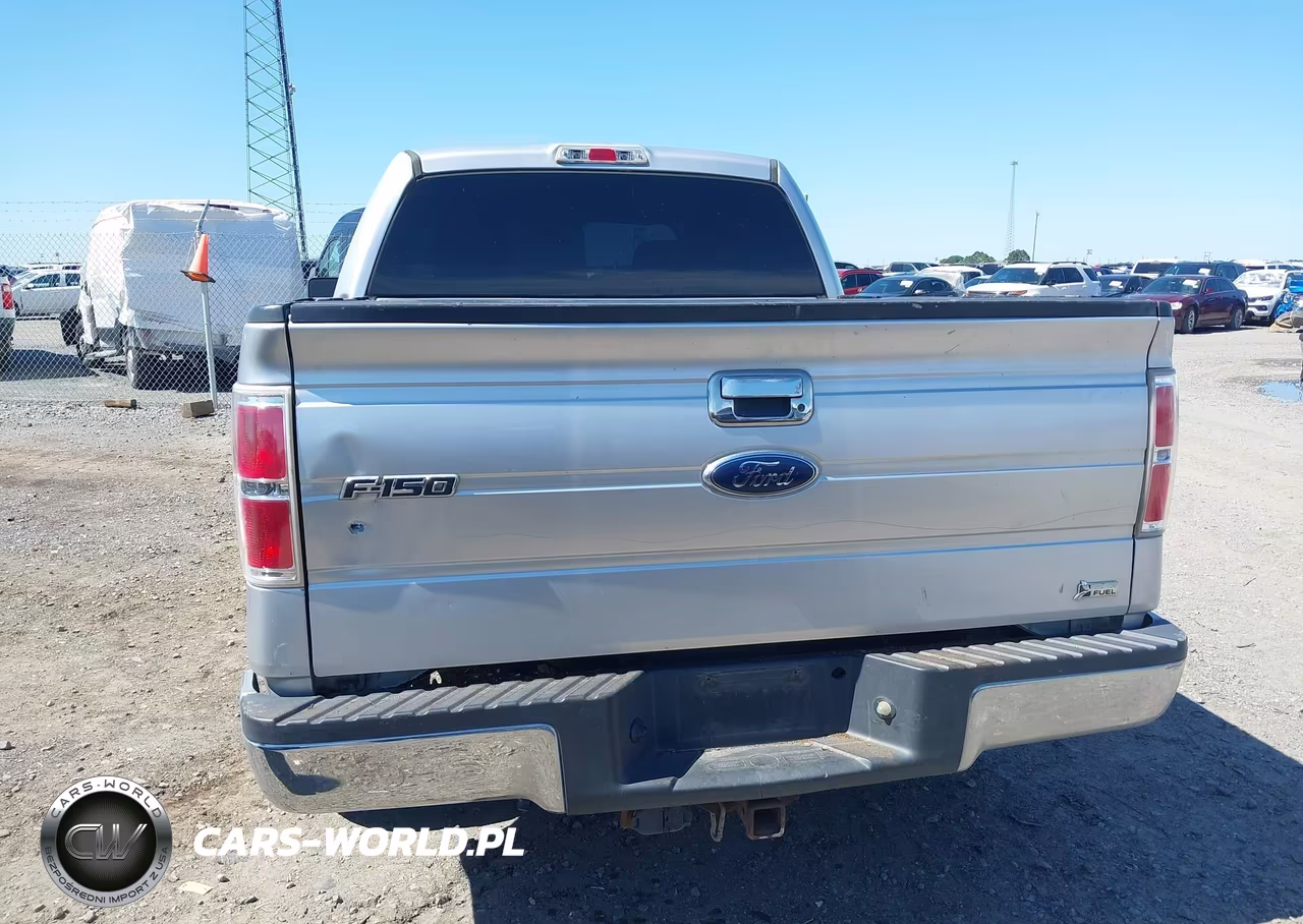 2010 Ford F-150 Fx2 Sport-Harley-Davidson-King Ranch-Lariat-Platinum-Xl-Xlt VIN:1FTFW1CV1AFD94340 - 16