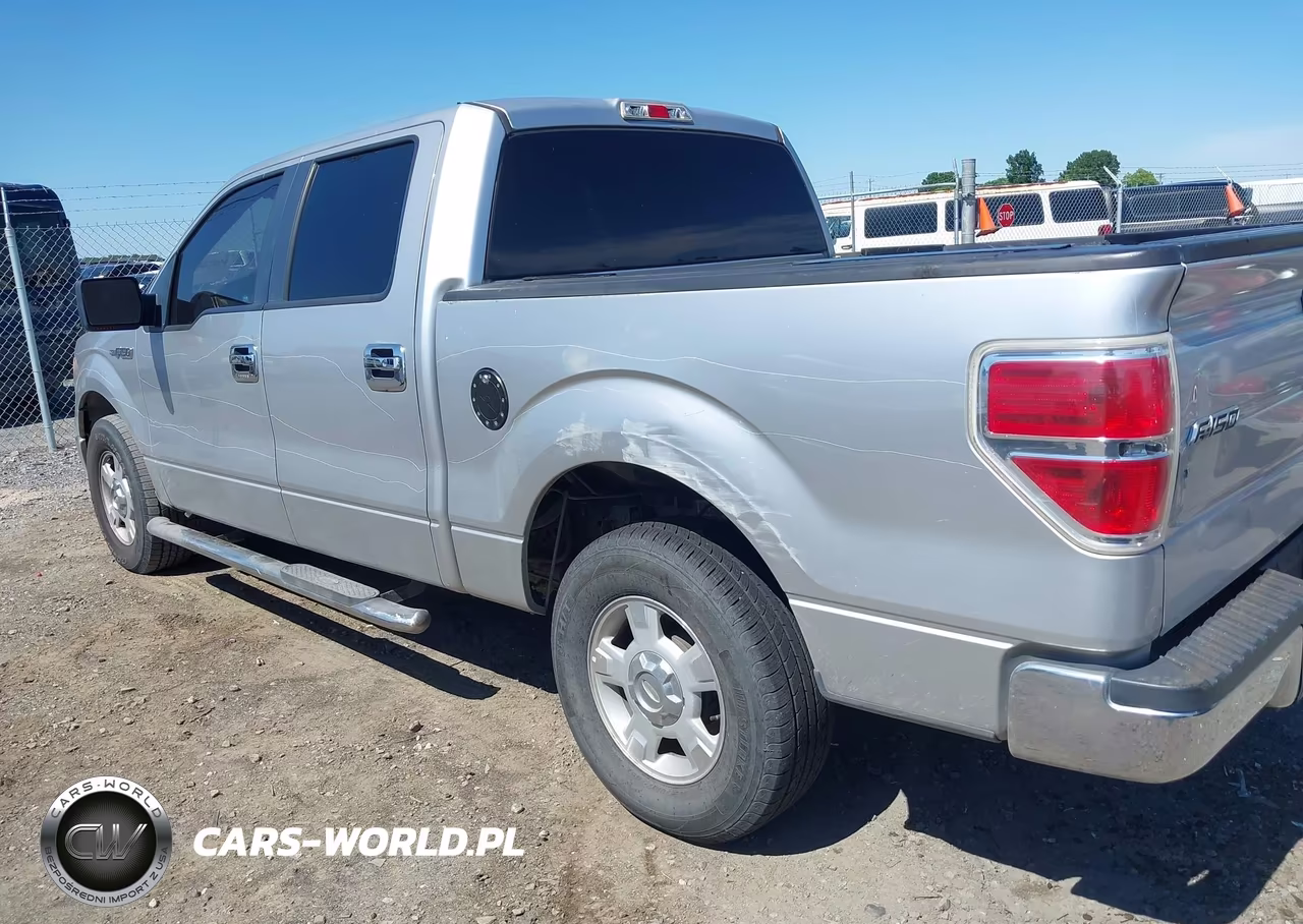 2010 Ford F-150 Fx2 Sport-Harley-Davidson-King Ranch-Lariat-Platinum-Xl-Xlt VIN:1FTFW1CV1AFD94340 - 20