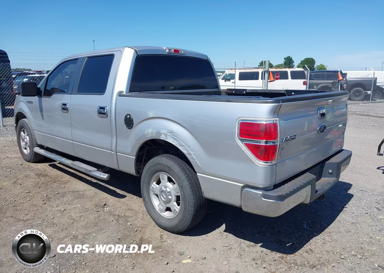 2010 Ford F-150 Fx2 Sport-Harley-Davidson-King Ranch-Lariat-Platinum-Xl-Xlt VIN:1FTFW1CV1AFD94340 - 3