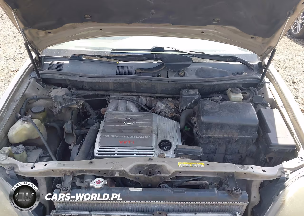 1999 Lexus Rx 300 VIN:JT6HF10U0X0007588 - 10
