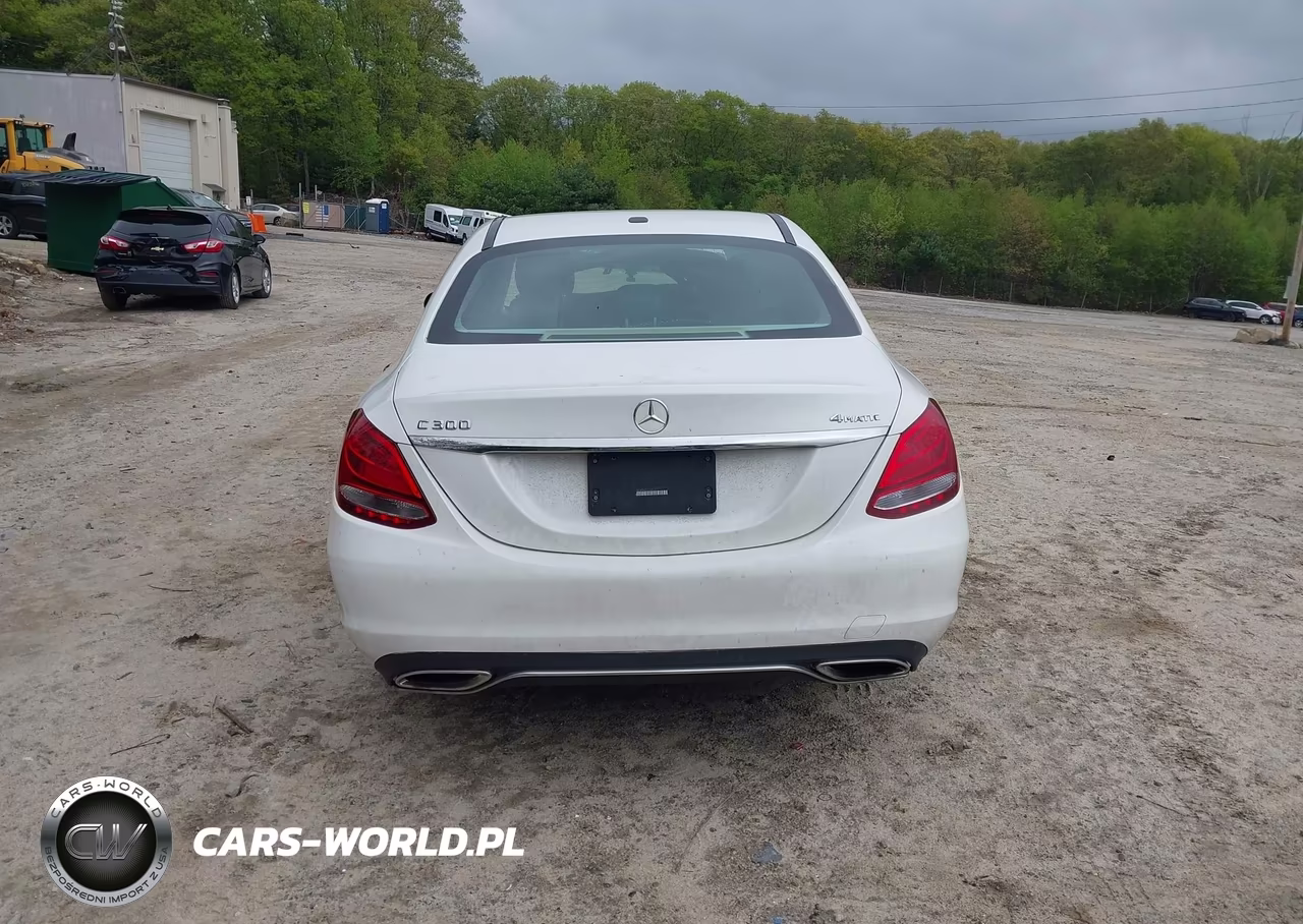 2016 Mercedes-Benz C-Class C 300 VIN:55SWF4KB6GU134813 - 17