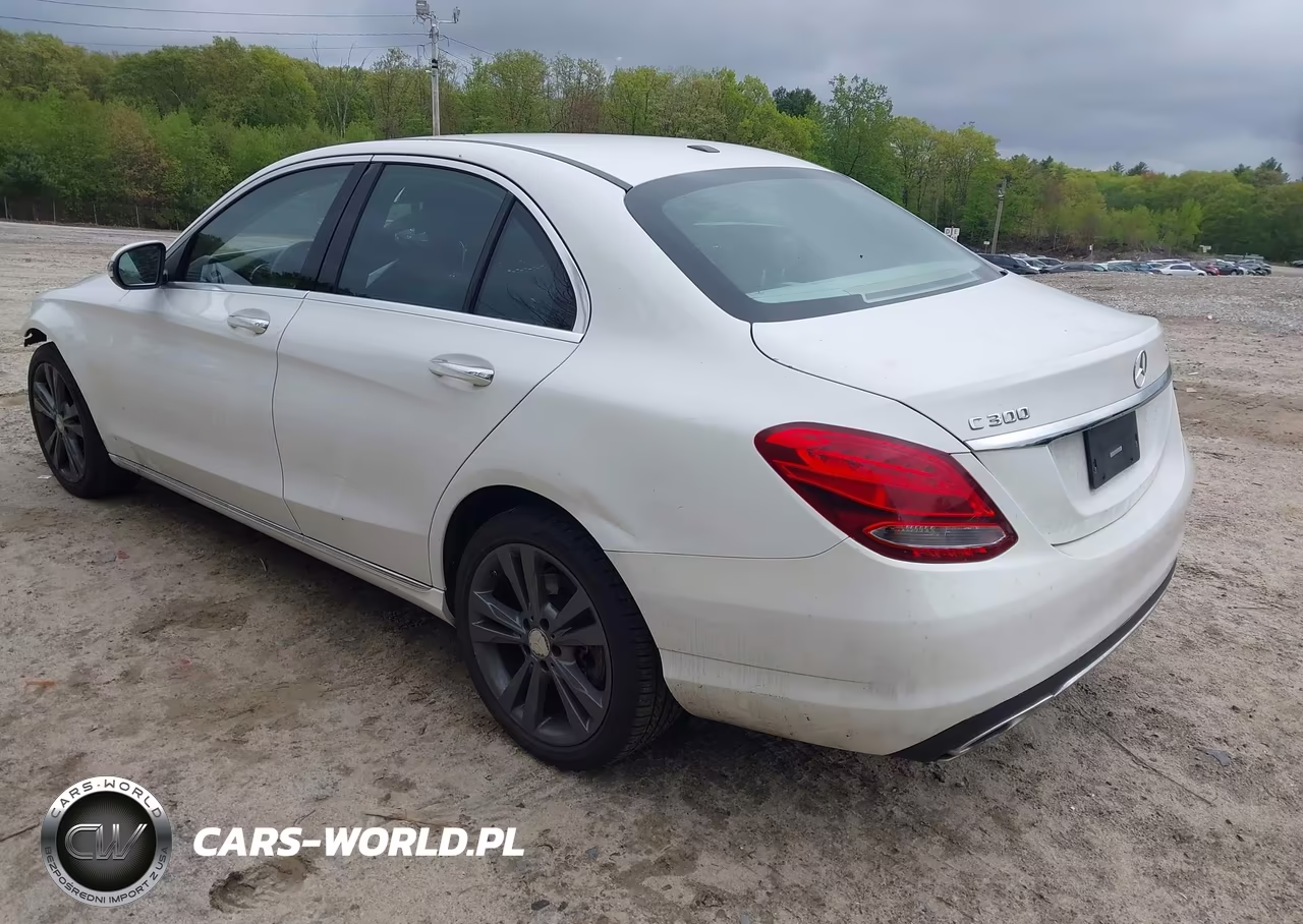 2016 Mercedes-Benz C-Class C 300 VIN:55SWF4KB6GU134813 - 3
