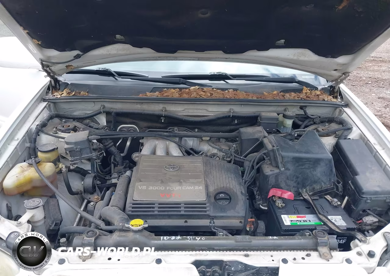 2002 Toyota Highlander Limited V6 VIN:JTEHF21A720068525 - 10