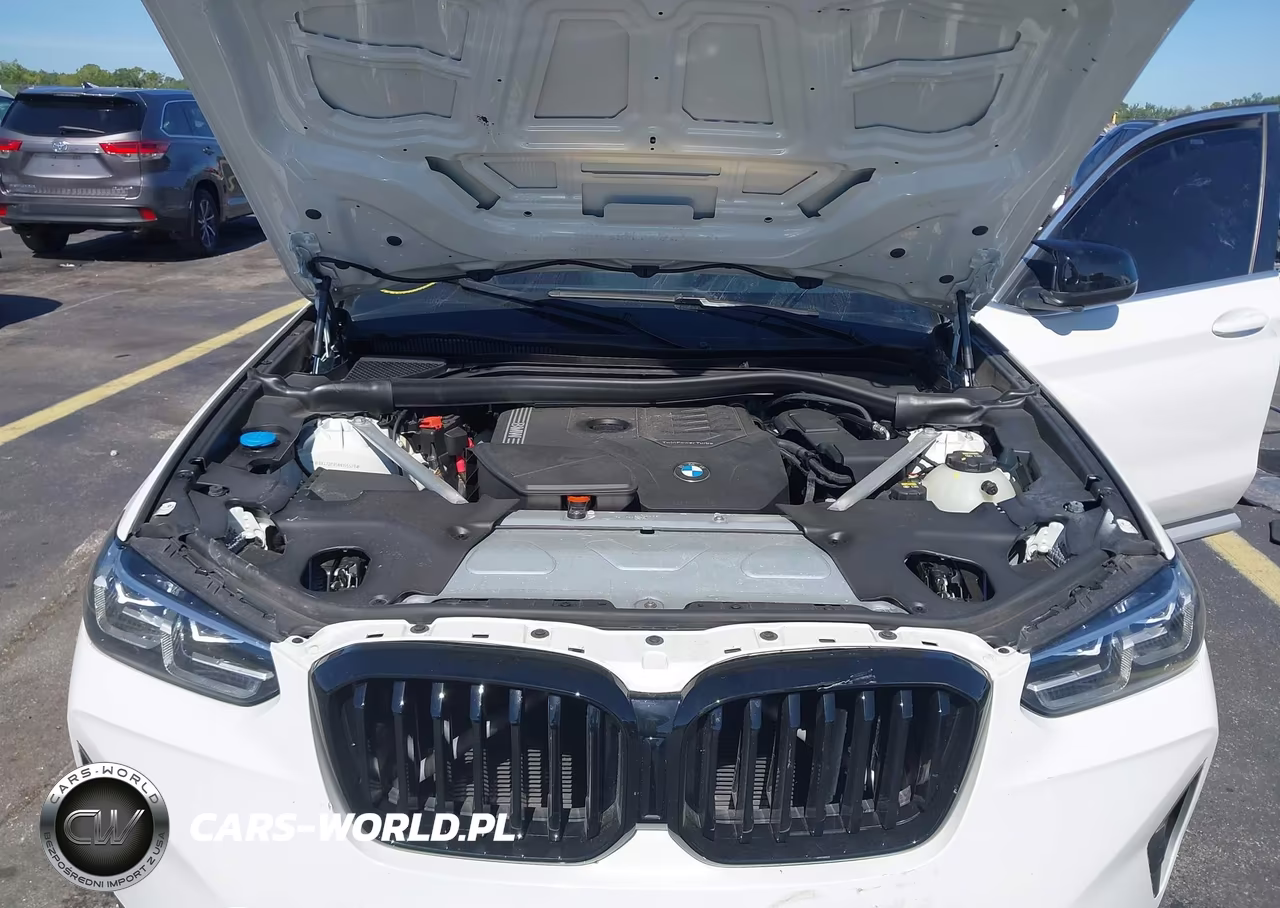 2022 BMW X3 Sdrive30I VIN:WBX47DP05NN165579 - 10