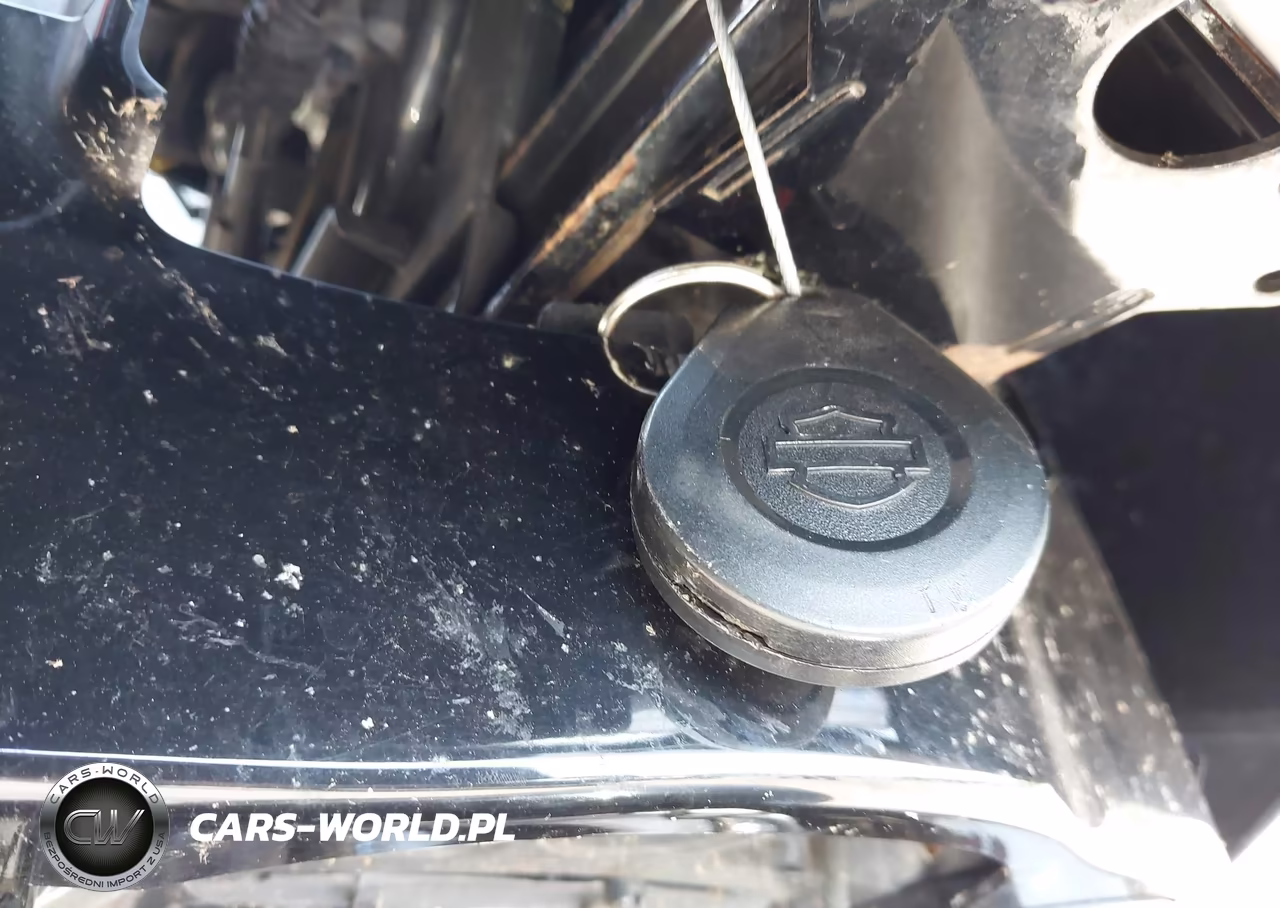 2021 Harley-Davidson Fltrxs VIN:1HD1KTP1XMB630034 - 11