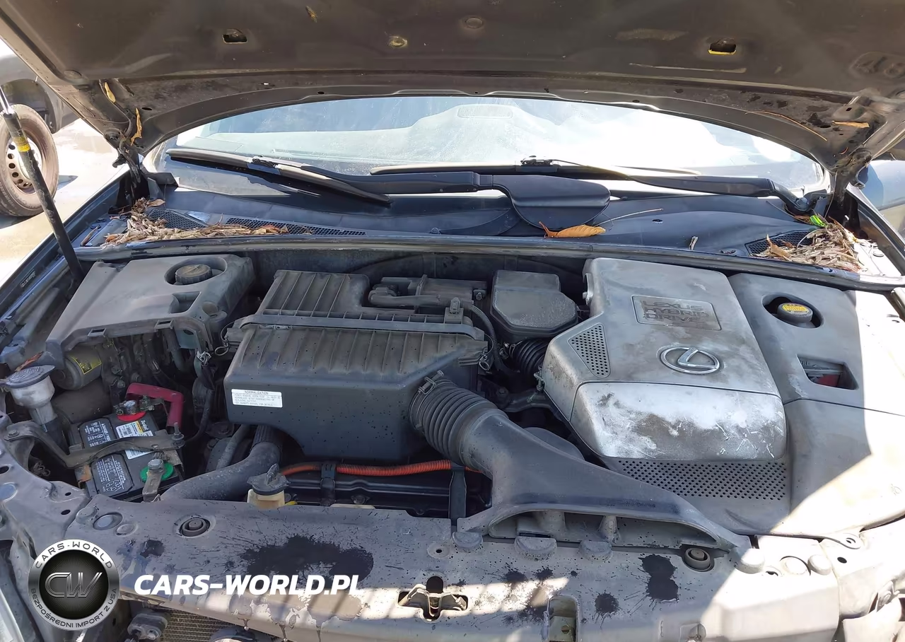2008 Lexus Rx 400H VIN:JTJGW31UX82009351 - 10