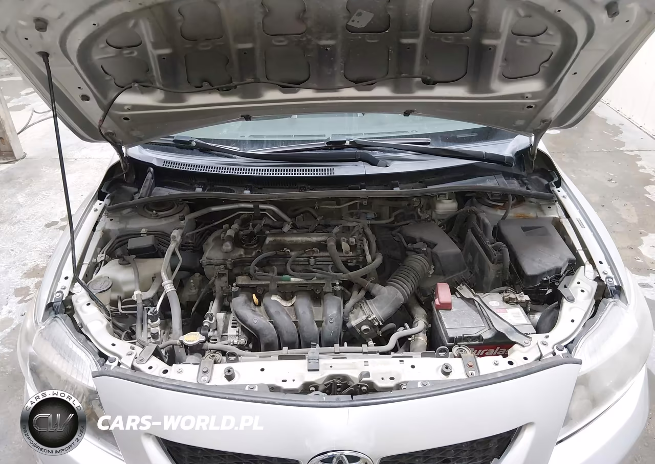 2010 Toyota Corolla VIN:2T1BU4EE6AC425836 - 10