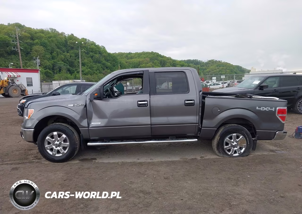 2014 Ford F-150 Xlt VIN:1FTFW1ET3EFC89459 - 15