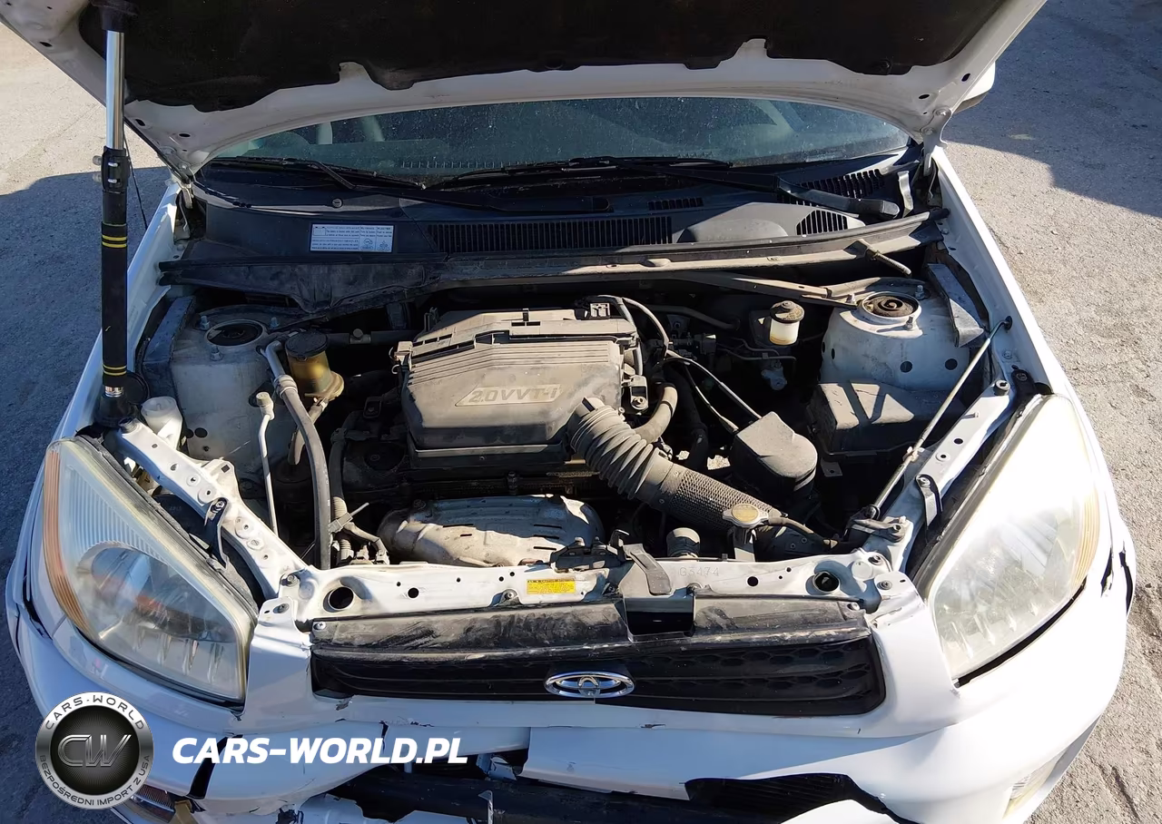 2003 Toyota Rav4 VIN:JTEHH20V430234838 - 10