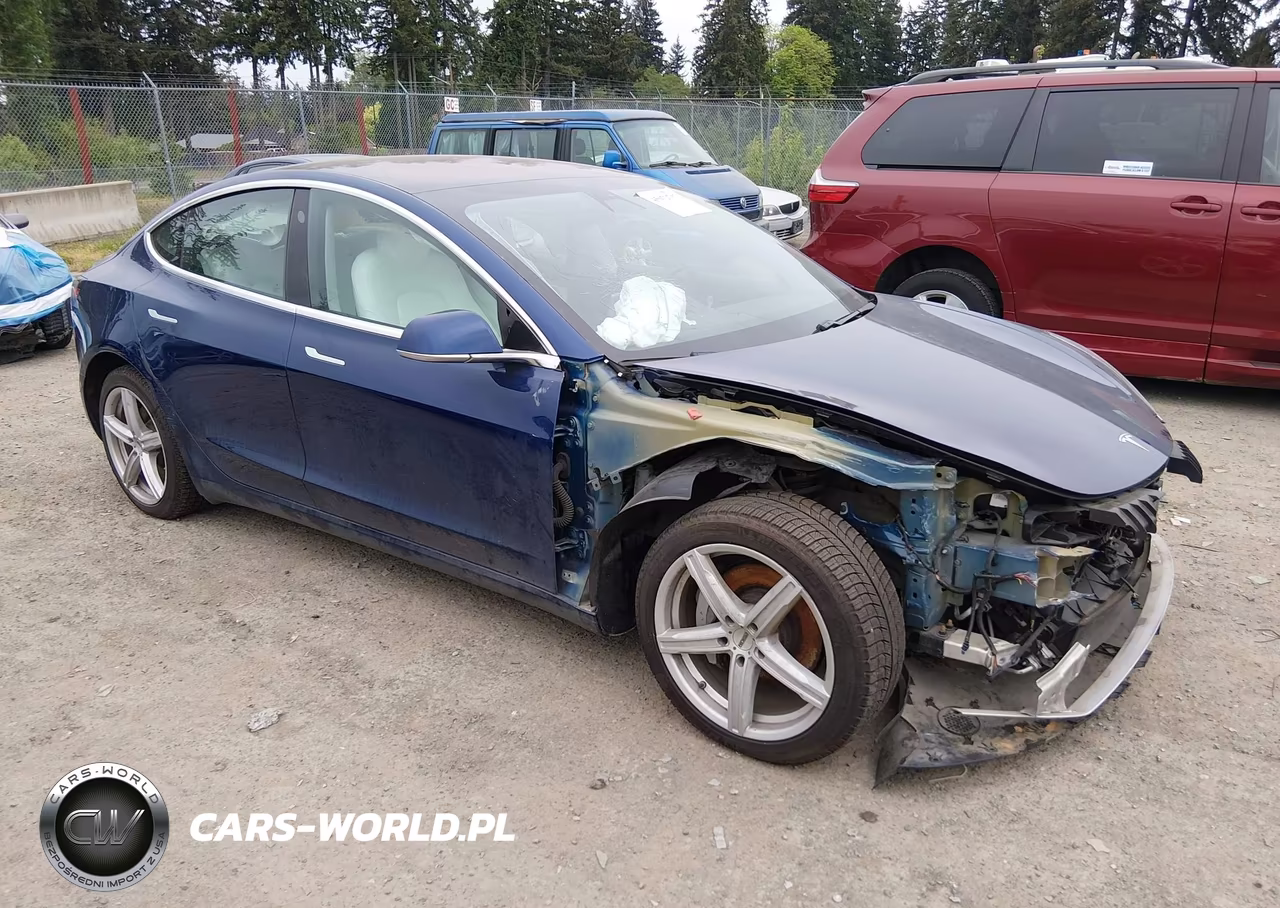 Główne zdjęcie 2019 Tesla Model 3 Long Range-Performance