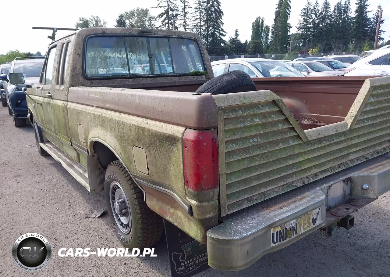 1987 Ford F150 VIN:1FTEX15N9HKA70821 - 3