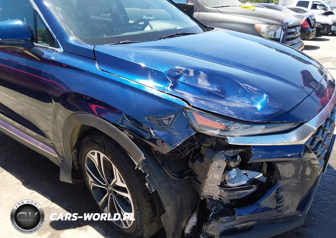 2020 Hyundai Santa Fe Sel 2.0T VIN:5NMS3CAA7LH290119 - 6