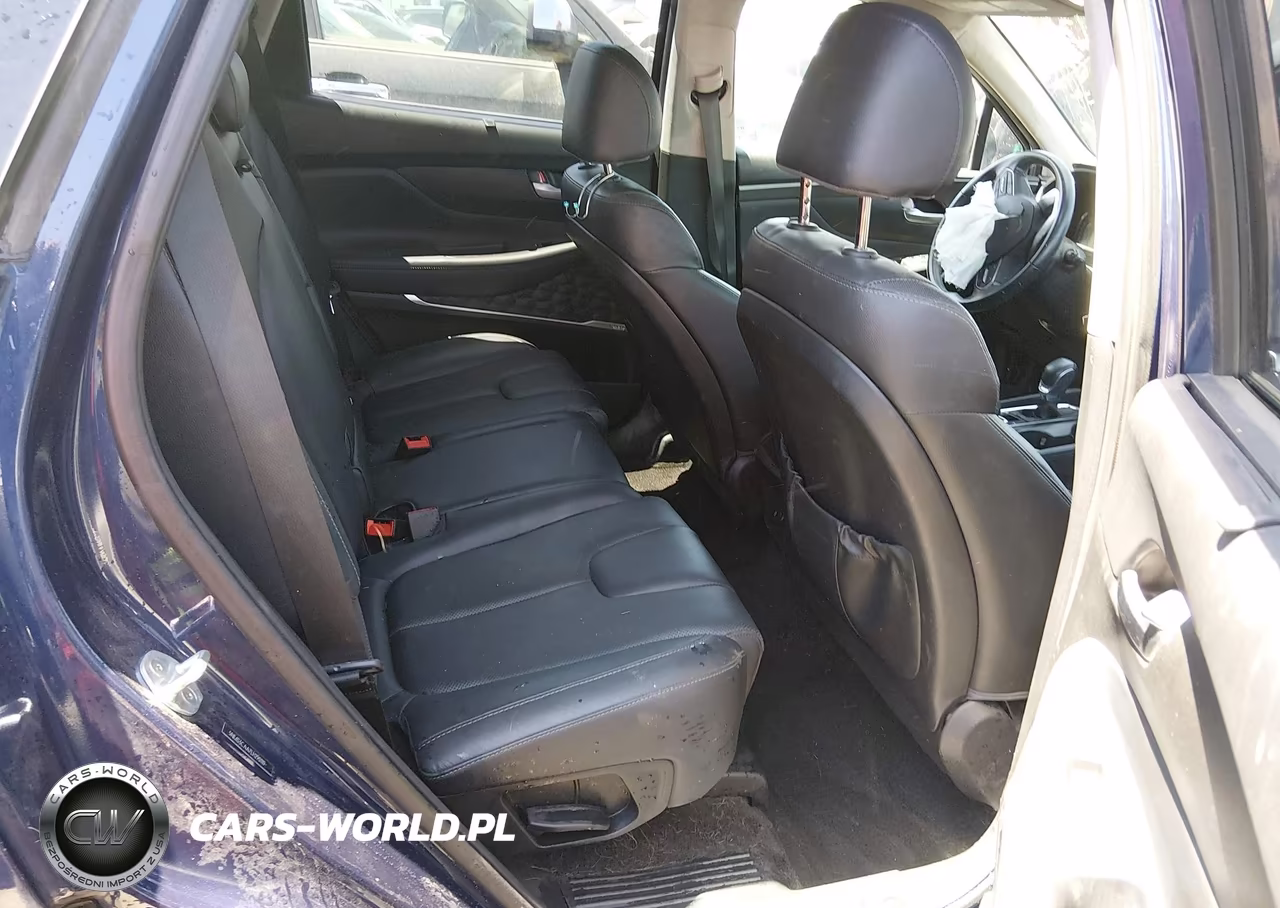 2020 Hyundai Santa Fe Sel 2.0T VIN:5NMS3CAA7LH290119 - 8